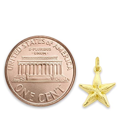 Solid 10k Gold Starfish Microcharm, Mini Cute Charm Beach Jewelry with Clasp2