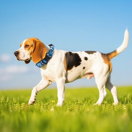 TSPRO Premium Hundehalsband mit Griff Dickes Verstellbares Taktisches Hundehalsband Schwere Ausführung Schnellverschluss Metallschnalle für Mittelgroße bis Große Hunde (Rot M)