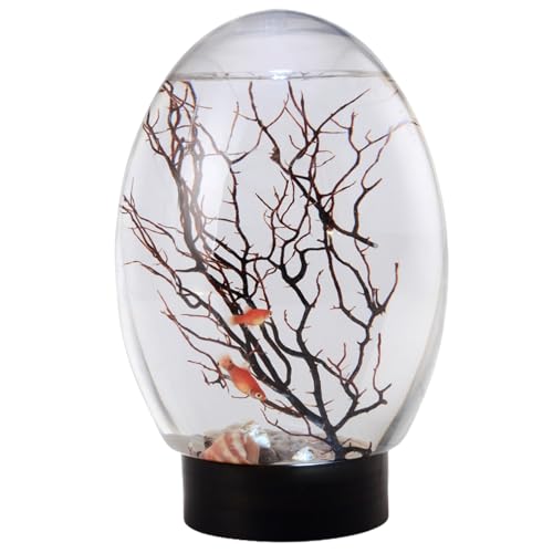 Mini Aquarium de Bureau avec éclairage LED, écosystème Autonome, Pas Besoin de Nourrir ni Changer l'eau, écosystème Aquatique fermé pour la Maison, Le Bureau, l'écosphère crevettes, la bios Mini Aquarium de Bureau avec éclairage LED, écosystème Autonome, Pas Besoin de Nourrir ni Changer l'eau, écosystème Aquatique fermé pour la Maison, Le Bureau, l'écosphère crevettes, la bios