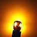 Alla Lighting 4pcs 168 194 LED Bulb, Amber Yellow Super Bright T10 Wedge Marker, Interior Map, Dome, Trunk Lights 194NA 175 168 2825 W5W 5630-SMD Upgrade