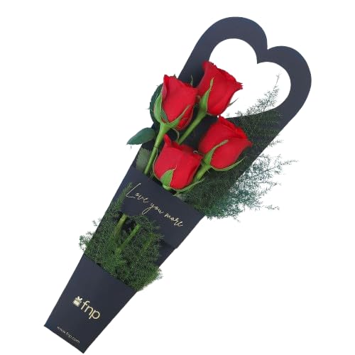 FNP Live Flower Bouquet of 4 Roses In Premium Packing For Birthday Gift, Anniversary Gift, Wedding Gift, Congratulations Gift & Gift For Special Occasions (Same Day Delivery)-image-40
