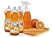 Produktbild Sauber Power Professional Clever Clean Orangenkraftreinigungs-Set 5-tlg.