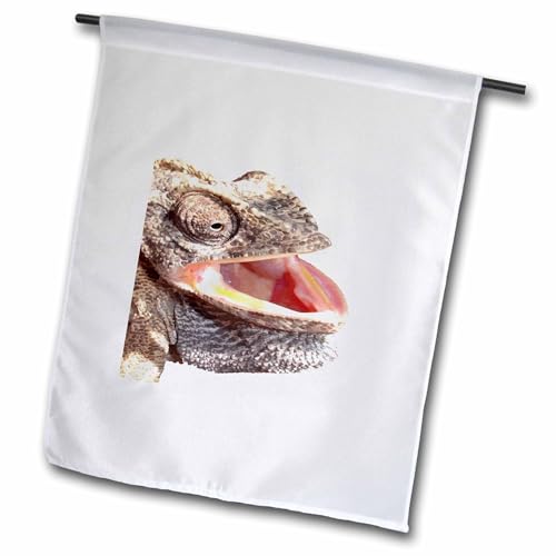 3dRose Geeky Chameleon Close Up Photograph Vector Cut Out - Flags (fl-383497-1)