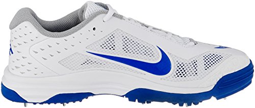 Image of Nike Men's Domain Cricket Shoes