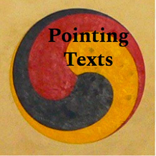Pointing Texts Podcast Por Pointing Texts arte de portada