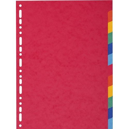Exacompta 1412E Intercalaire A4 Carte Lustree 12 Positions - lot de 2