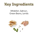 Applaws Style Toppers, Pure Canine Meals Topper, 6 Depend, Restricted Ingredient Meal Topper for Canine, Whitefish with Salmon, Inexperienced Beans & Lentils in Gravy, 3oz Pouches