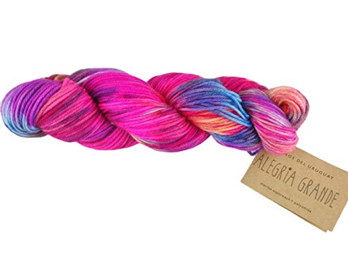 Manos Del Uruguay Yarn, AG8726 Carnaval, One Size