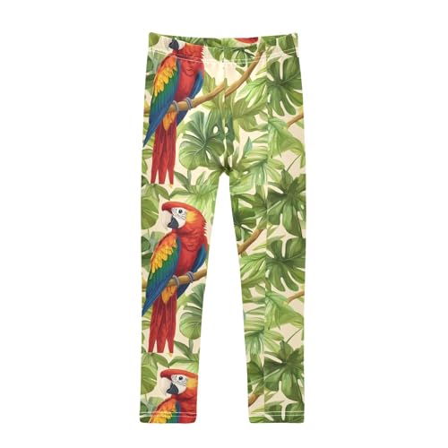 Girls Leggings Tropical Jungle Birds Parrot Toddler Girls Clothes Leggings for Girls Toddler Girls Leggings 3-4T