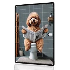 Poodle Reading Newspaper