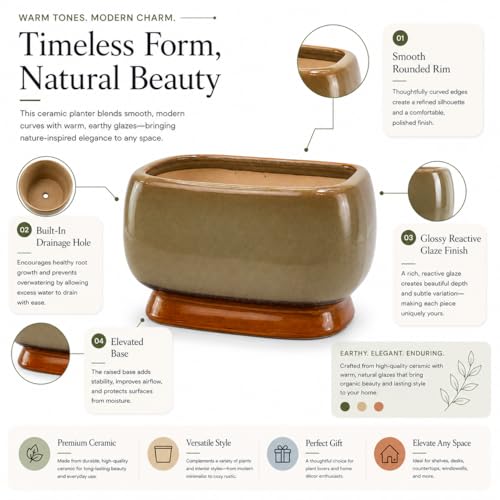 Image of Xtore Elegant Dual-Tone Glazed Ceramic Bonsai Planter Pot| Wide Bowl Design with Drainage Hole for Succulents, Bonsai & Small Plants (Deep Brown Pack of 1, Planter Only)