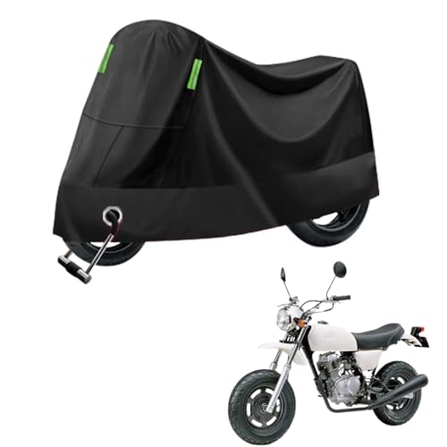 y2024VfzoCNJo[ ɓKp z_ GCv50 (Ape) oCNJo[ SV^  210DI[goCJo[  UVJb oCNJo[ h~ oCNp bNΉ [ܕt