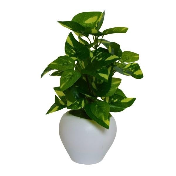 Image of fancymart Artificial Plant Leaves in Apple Pot (30 cm Height) | Small Potted Plant for Office Desk | Home Decor for Living Room | Cafe & Restaurant Table Decoration