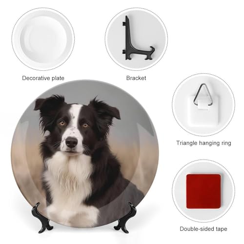 Plato decorativo Bone China Border Collie 7 pulgadas miniatura 3
