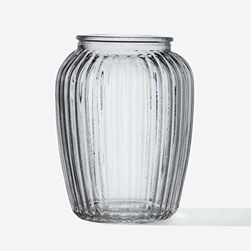 Image of Incrizma Vintage Style Ribbed Glass Bubble Flower Round Jar Vase ~ Perfect for Wedding & Home (20 cm)( Clear)