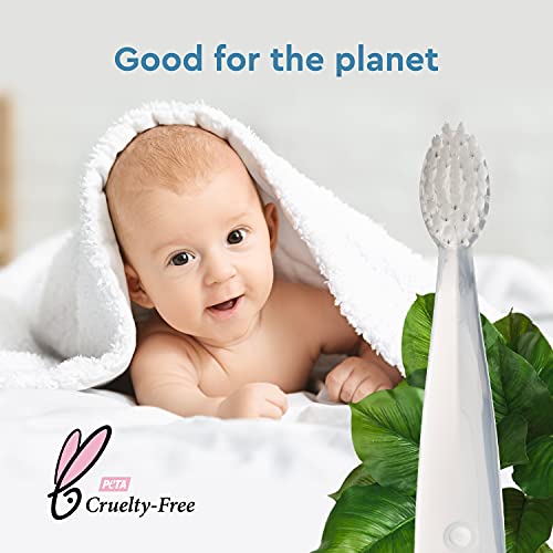 Best Baby Toothbrush RADIUS Children's Toothbrush Pure Brush Ultra Soft BPA Free ADA Accepted Designed for Delicate Teeth for Kids 6 Months and Up - Clear - Pack of 1