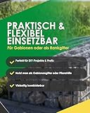 Zaundirekt I Einzelnes Gabionengitter I 100x50cm I Steinkorb I Steingabione I Gabione I Mauer I Wand I Drahtkorb I Stützmauer I Gartenzaun