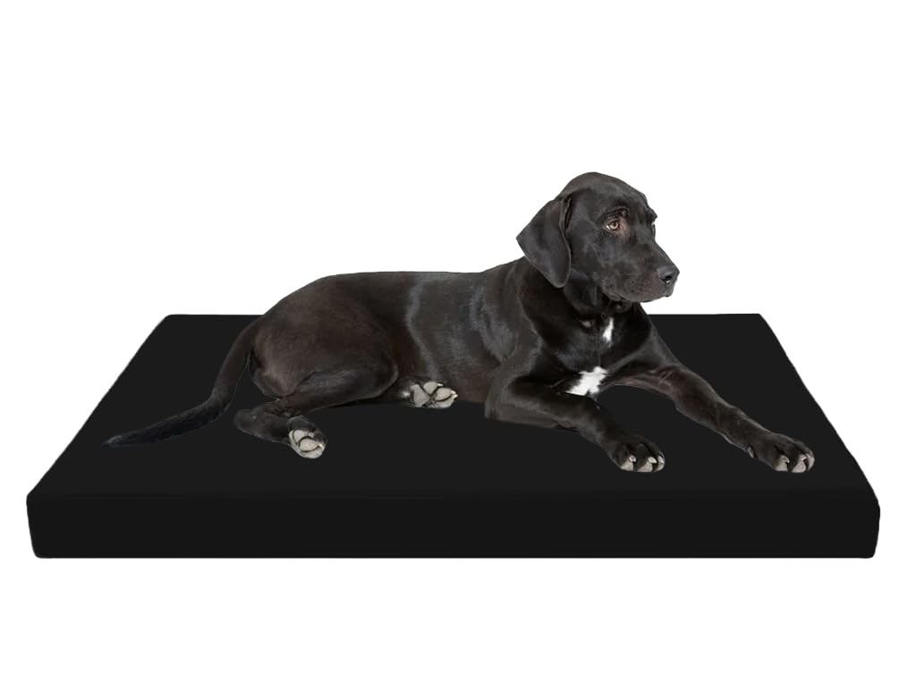 Laam linen Luxury Dog Bed Mattress 100% Waterproof Cover Bed Orthopaedic Soft and Quality Pet Bed Cushion Memory Foam Dog Bed with Washable & Removable Zipped Cover (Medium (90 x 60 x 5cm), Black)