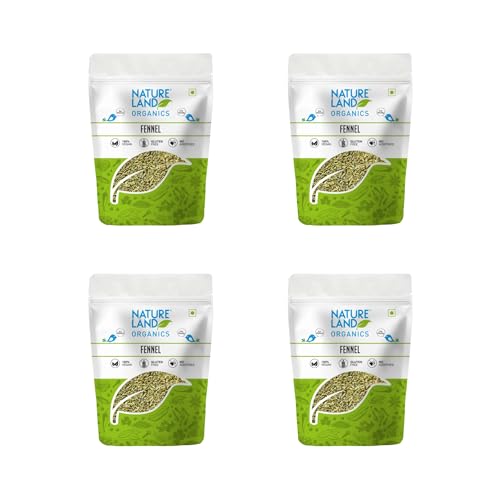 Image of Natureland Organics Fennel (Saunf) 100 Gm (Pack of 4) Total 400 Gm