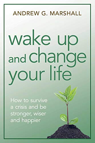 Wake Up and Change Your Life: How to Survive a Crisis and be Stronger, Wiser, and Happier