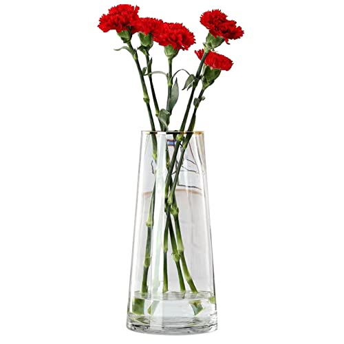 Qiccijoo Clear Glass Vase Cylinder Flower Vase for Floral Arrangements Weddings Home Decor or Office 21.5cm/8.5in Tall 7cm/2.8in Opening(Clear)