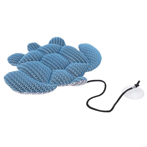 Soluzione semplice per la manutenzione di piscine e spa con la nostra spugna assorbente