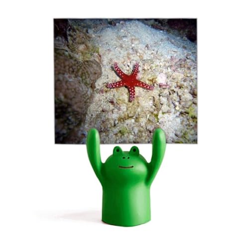 Support de photo grenouille mignon à offrir comme cadeau d'anniversaire