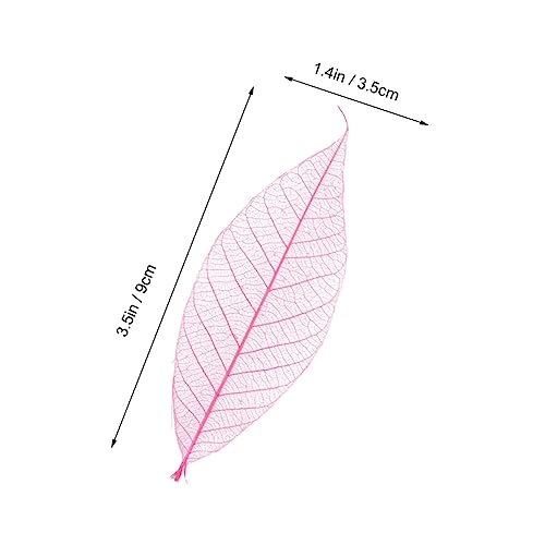 Amosfun 50 Unidades Plantas Artificiais Decorativas Folhas De Esqueleto Folhas De Recados Naturais F