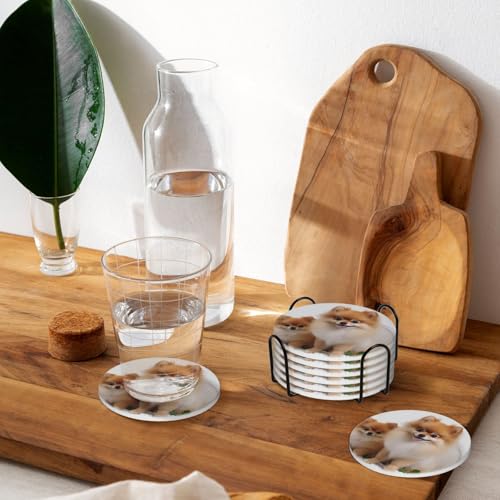 Dessous de verre de Poméranie absorbants en céramique et liège isolant avec support x6 - 8