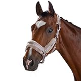 eskadron grey violet Größe: Vollblut Eskadron Halfter Double PIN Faux FUR (Classic Sports HW19), softgrey, Vollblut