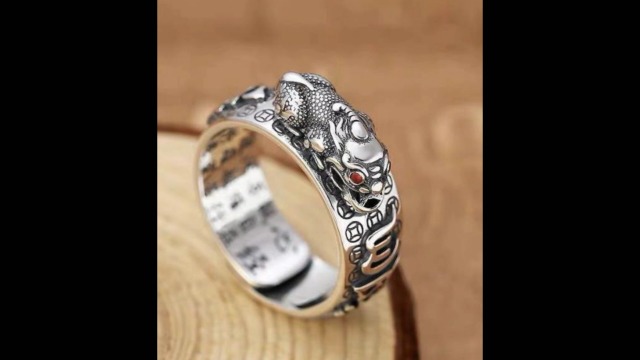 Feng Shui Pixiu Ring Set - Wealth & Protection Good Luck Mantra Rings - View #12