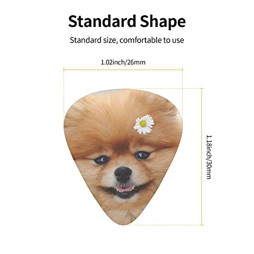 Médiators en celluloïd coloré avec motif chien avec fleur – 3 épaisseurs différentes – Pour basse, amateurs de musique – Pour guitare électrique et acoustique – Comprend 0,46 mm, 0,71 mm, 0,96 mm - Les Beatles, Paul McCartney, John Lennon, RIngo Starr, George Harrison Médiators en celluloïd coloré avec motif chien avec fleur - 3 épaisseurs différentes - Pour basse, amateurs de musique - Pour guitare électrique et acoustique - Comprend 0,46 mm, 0,71 mm, 0,96 mm – Image 5