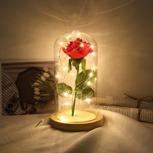 PIXNOR - flores de rosa de A Bela e a Fera, dura para sempre em redoma de vidro com luzes LED USB, m