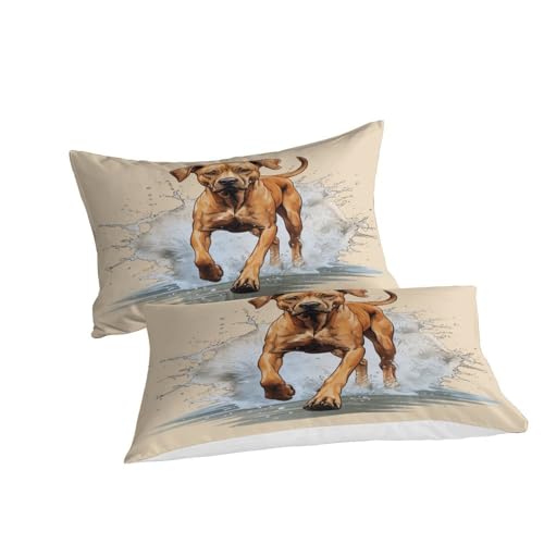 Housse de couette 200x200 microfibre Cairn Ridgeback parure de lit - 5