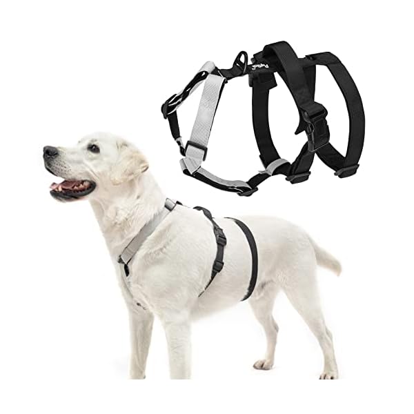 PUPTECK Escape Proof Dog Harness – No Pull Padded Pet Halter Harness with Soft Lift Handle for Medium Large Doggies Walking, Hiking, Hunting Black PUPTECK Escape Proof Dog Harness – No Pull Padded Pet Halter Harness with Soft Lift Handle for Medium Large Doggies Walking, Hiking, Hunting Black