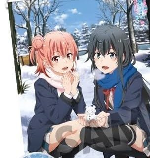 Amazon.co.jp: 由比ヶ浜結衣 雪ノ下雪乃 B2タペストリー やはり俺の