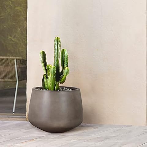 Armen Living Planter, Concrete, Gray, M Cover