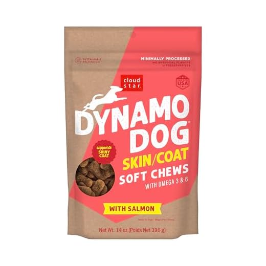 Cloud Star Dynamo Dog Skin & Coat Treats – Chewy Treat with Fish Oil for Shiny Coat (14 oz. Salmon)