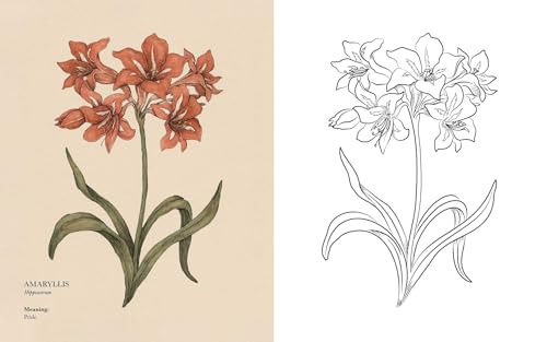 Image of Floriography Coloring Book