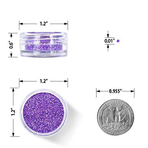 Glitter Wenida 12 Colors Holographic Cosmetic Laser Festival Powder Sequins Craft Glitter for Arts Face Hair Body Nail