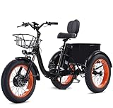 【Removable Battery】The electric tricycle features a certified battery, designed for extra safety and performance. The battery includes high-tech protection against over-temperature, over-voltage, and over-charging, ensuring dependable performance and...
