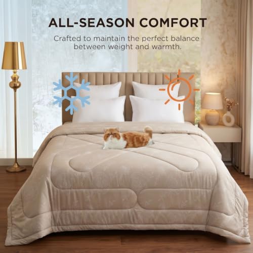 Image of Dream Weaverz Microfibre Comforter Double Bed | 200 GSM Siliconized Polyester | All Season AC Quilt | Khadi Solid Print | Anti Pilling | Machine Washable | Beige (230x250 CM)