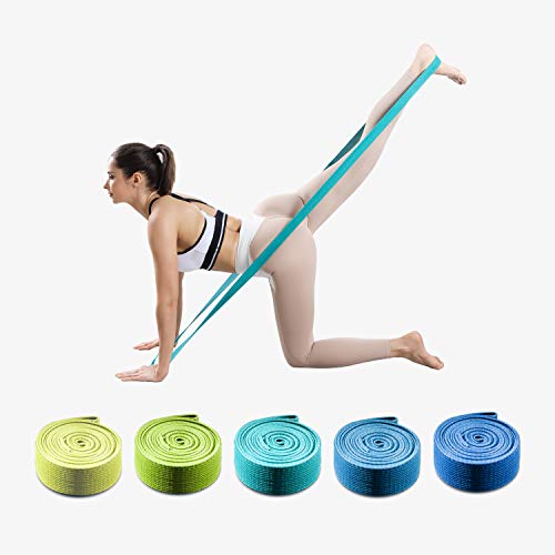 YUNMAI Juego de 5 Bandas de Resistencia Pull Up Larga de Tela con Bolsa Portátil Ligera para Entrenamiento Viajes Hogar Gimnasio