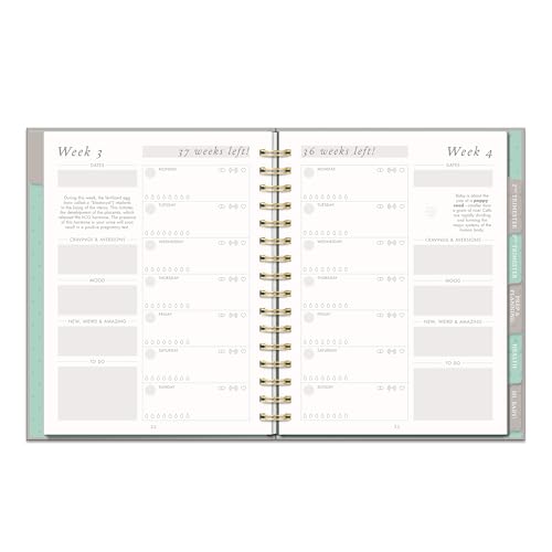 Image of Studio Oh! Countdown to Baby Pregnancy Journal for Women - Hardcover Guided Journal & Daily Planner, 144 Pages, Weekly Planner, To-Do List & Tracker, 6 Tabbed Divider Pockets, 100 gsm Paper [Unknown Binding] [Unknown Binding] [Unknown Binding] [Unknown Binding]