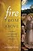 Fire from Above: Christian Contemplation and Mystical Wisdom (Spiritual Direction)