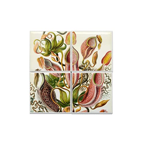Plante carnivore Nepenthes en carreaux céramique pour salon