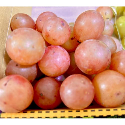 [8月中旬からお届け] 2026年 岡山産ぶどう3種 食べ比べ 宝石箱 クイーンニーナ シャインマスカット マイハート 粒だけ18粒 長方形化粧箱 岡山 果物 フルーツ 数に限りあり [箱カラー:ブラック]