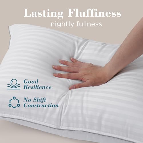 Image of viewstar Bed Pillows Queen /Standard Size Set of 2, Firm Down Alternative | Bedding, Hotel Quality, Fluffy, Oeko-Tex Certified, Plump Filling, Machine Washable, for Side Back Sleepers, Striped White