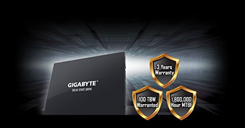 Build My PC, PC Builder, Gigabyte GP-GSTFS30256GTTD