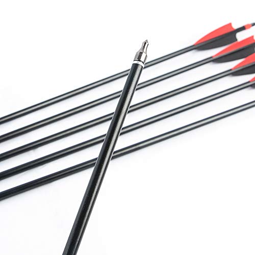 TOPOINT ARCHERY 30inch 8mm Fiberglass Hunting Practice Arrows with Replaceable Arrowhead Spine 500 for Recure and Compound Bow Target (Pack of 12) (2 Black 1 red vanes) - Thumbnail 3